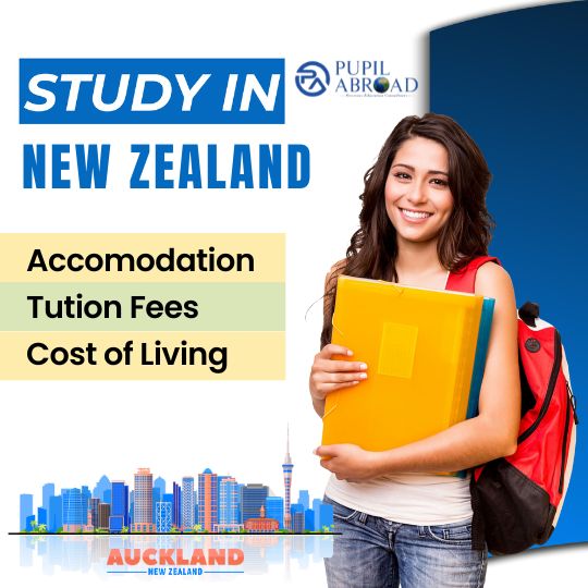 study in new zealand cost