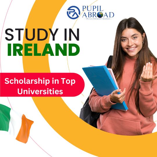scholarship in ireland