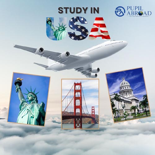 study in usa requiremets